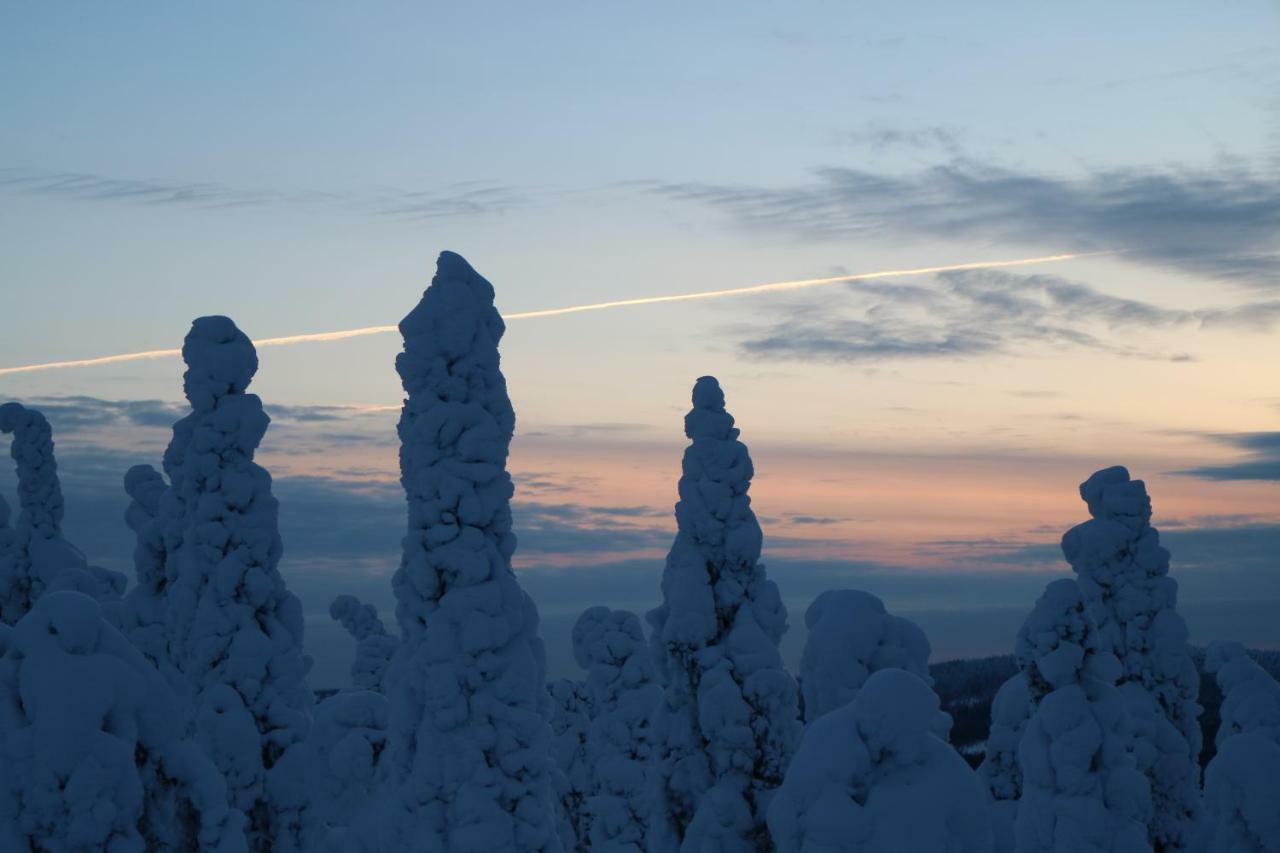 Polaris Homes For You Rovaniemi Bagian luar foto